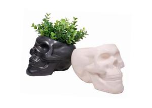 items_1495659_4210_20170804175228_b