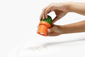 salero-molino-cactus-D_NQ_NP_719180-MLM41233385513_032020-W