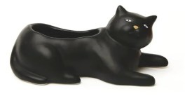 D_NQ_NP_687501-MLM48962405412_012022-W