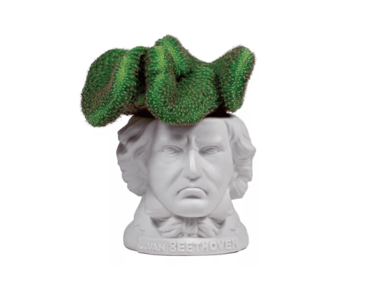 Screen Shot 2023-04-11 at 10.46.08